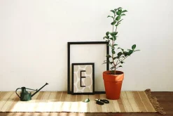 Alphabet Poster