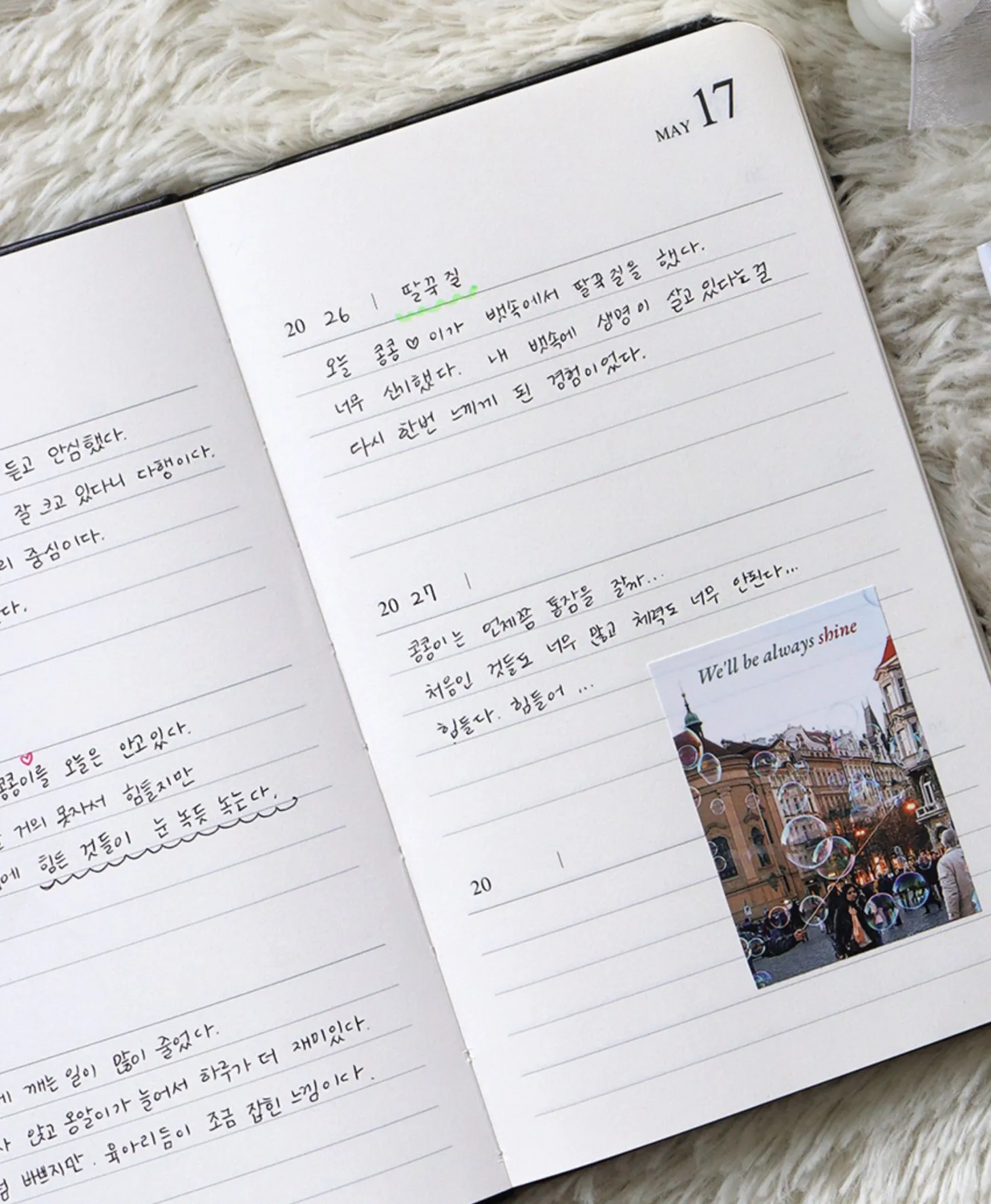 Archive Me 3 Yr Daily Diary Planner