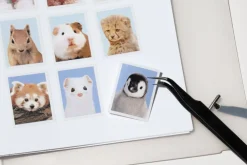 Be On D Sticker Book 6 Ring A5 Refill