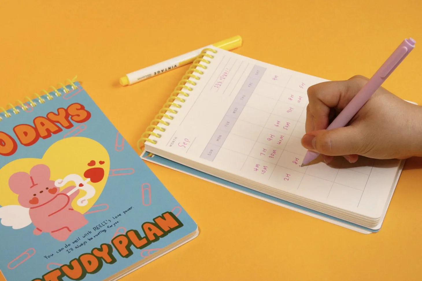 Bunny 100 Days Study Planner