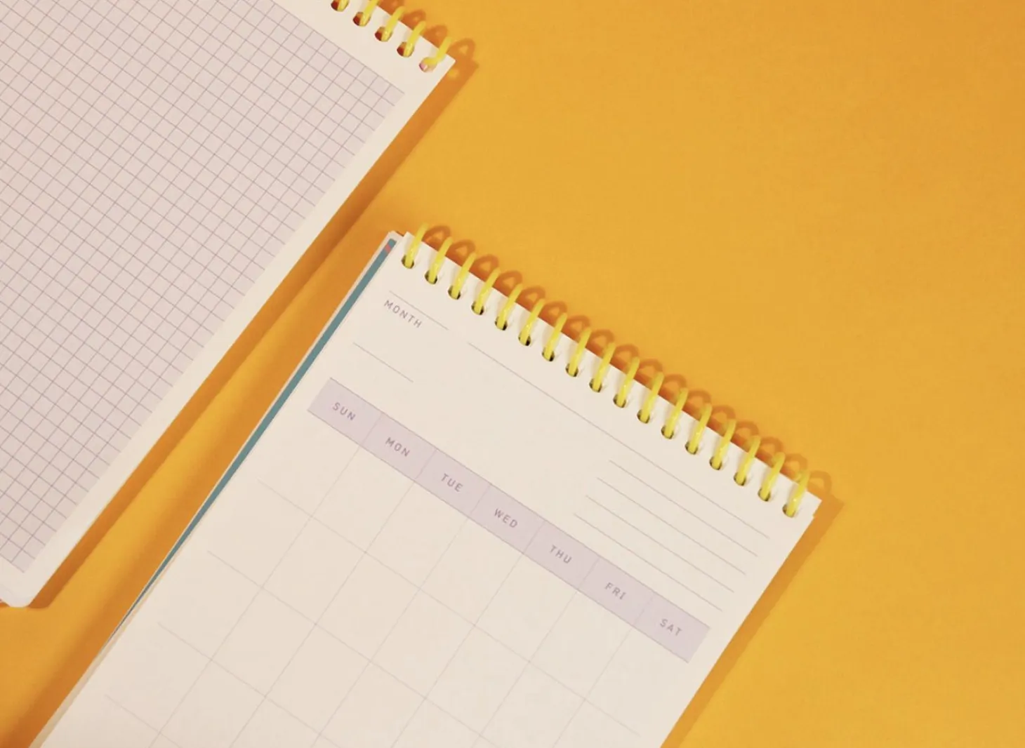 Bunny 100 Days Study Planner