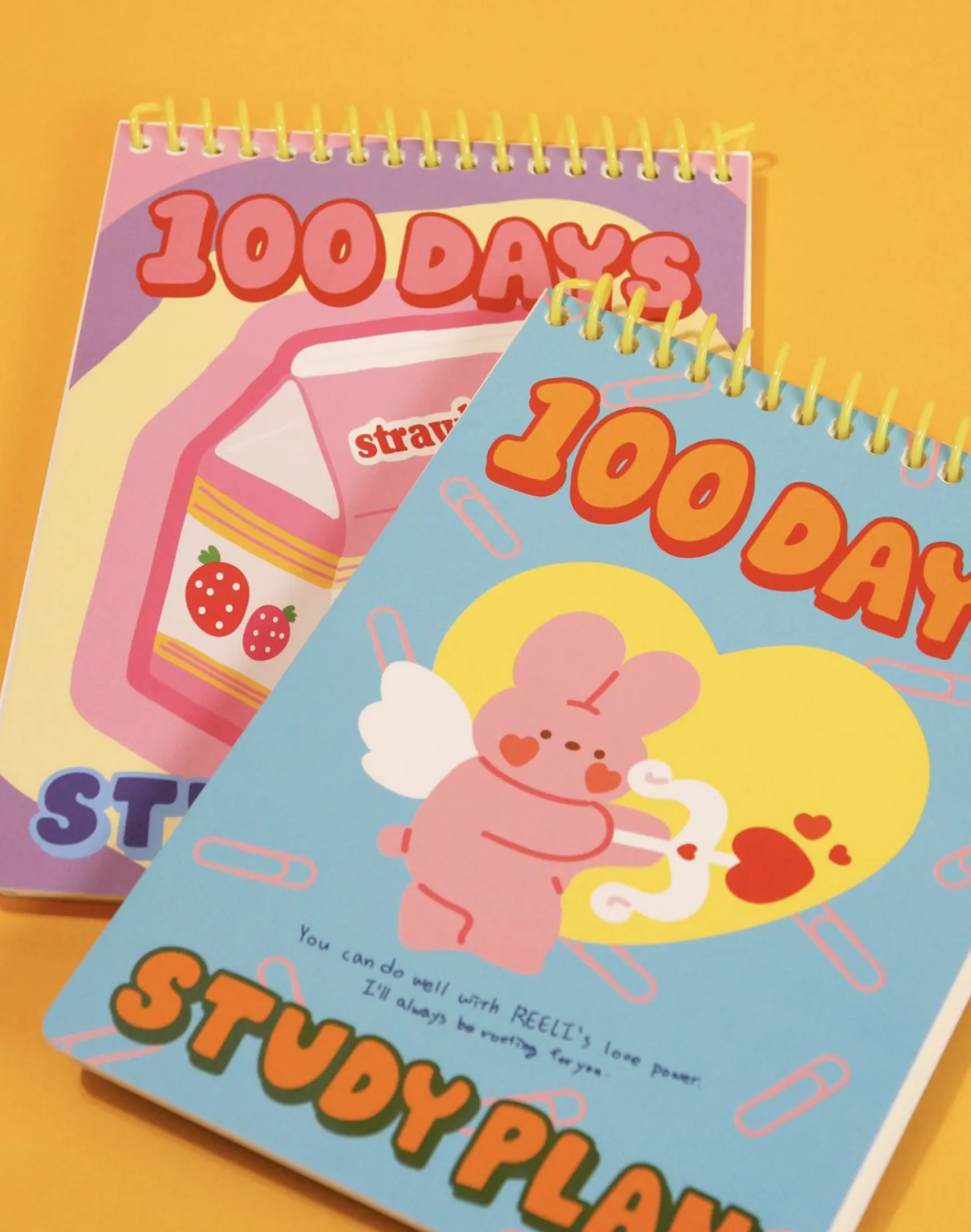 Bunny 100 Days Study Planner