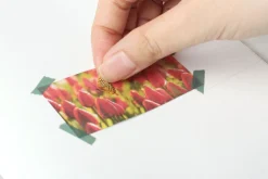 Butterfly Nature Sticker