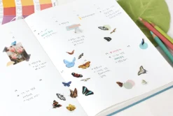 Butterfly Nature Sticker