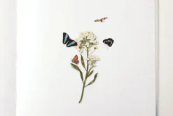 Butterfly Nature Sticker