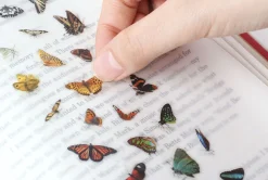 Butterfly Nature Sticker