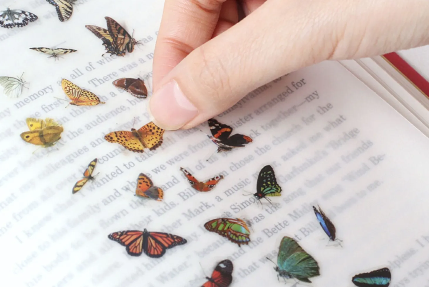 Butterfly Nature Sticker