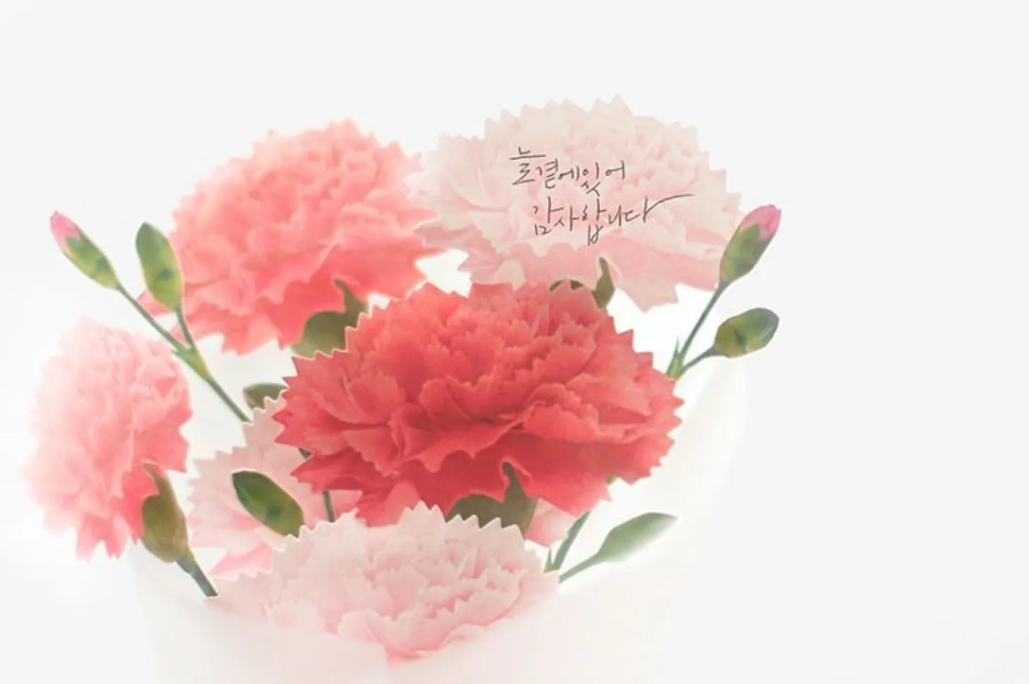 Carnation Sticky Note
