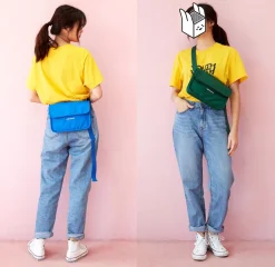 Carry Around Waist Bag