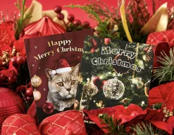 Everybody's Christmas Card