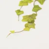 Ivy Pressed Flower Sticker