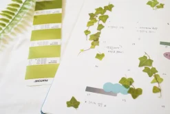 Ivy Pressed Flower Sticker