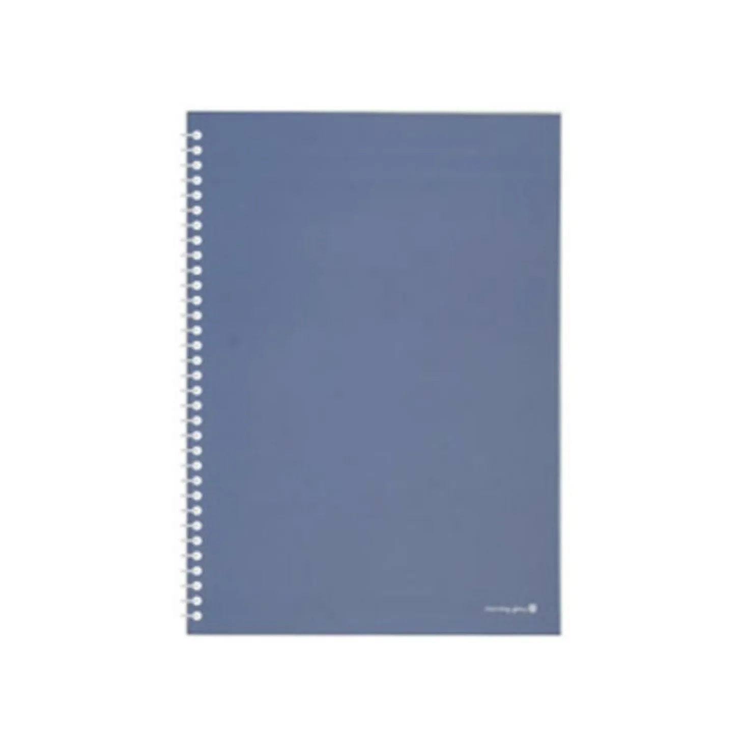 Large Tone & Mood Spiral Lined Notebook
