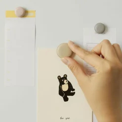 5pcs Macaron Magnet Set