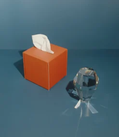 Small Vivid Color Tissue Cover