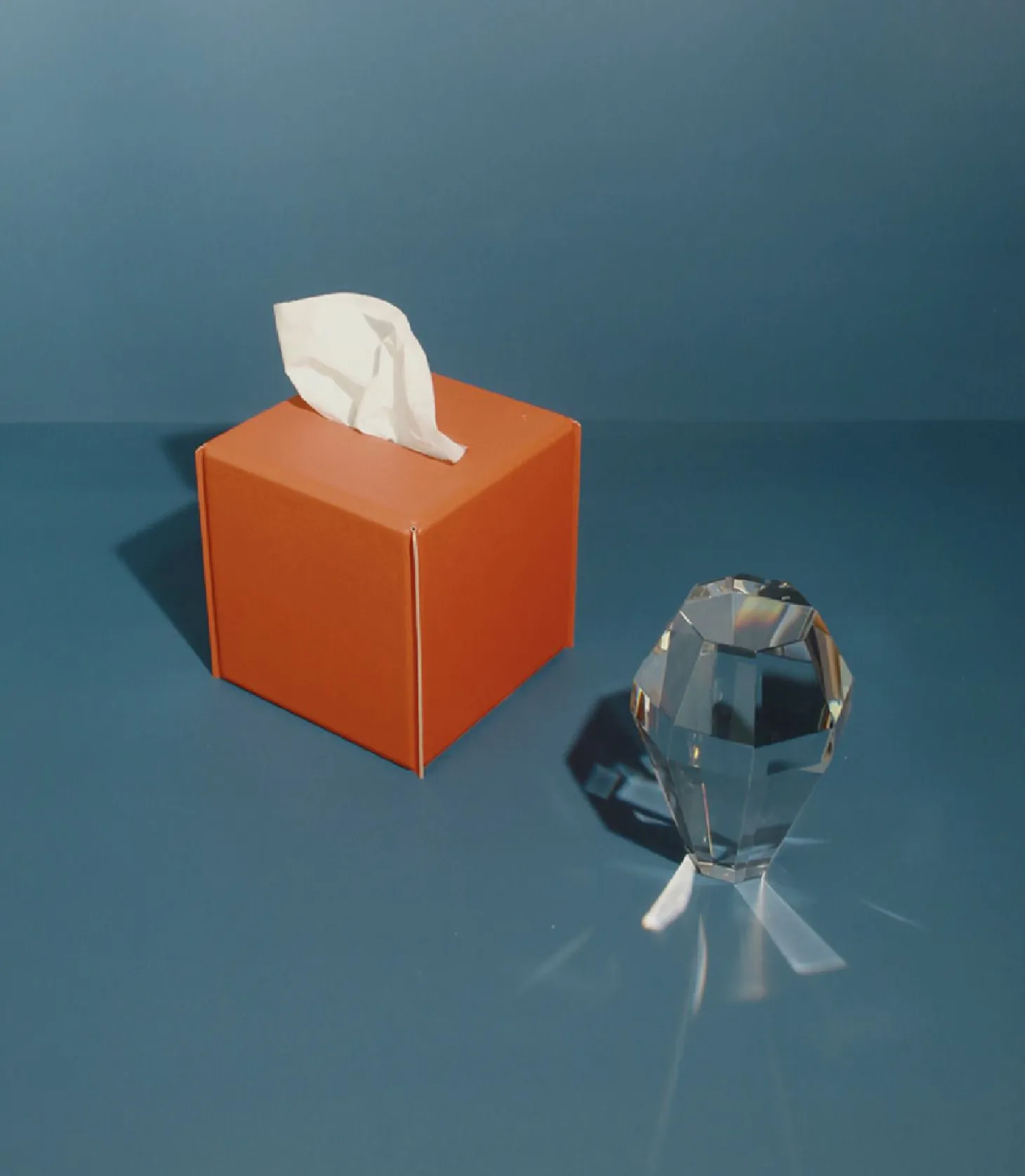 Small Vivid Color Tissue Cover