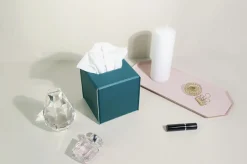 Small Vivid Color Tissue Cover