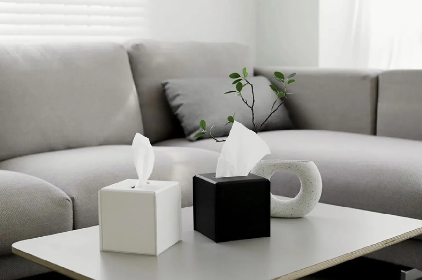 Small Vivid Color Tissue Cover