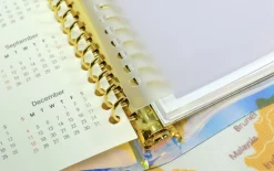 Translucent 20 Ring A5 Index Tabs