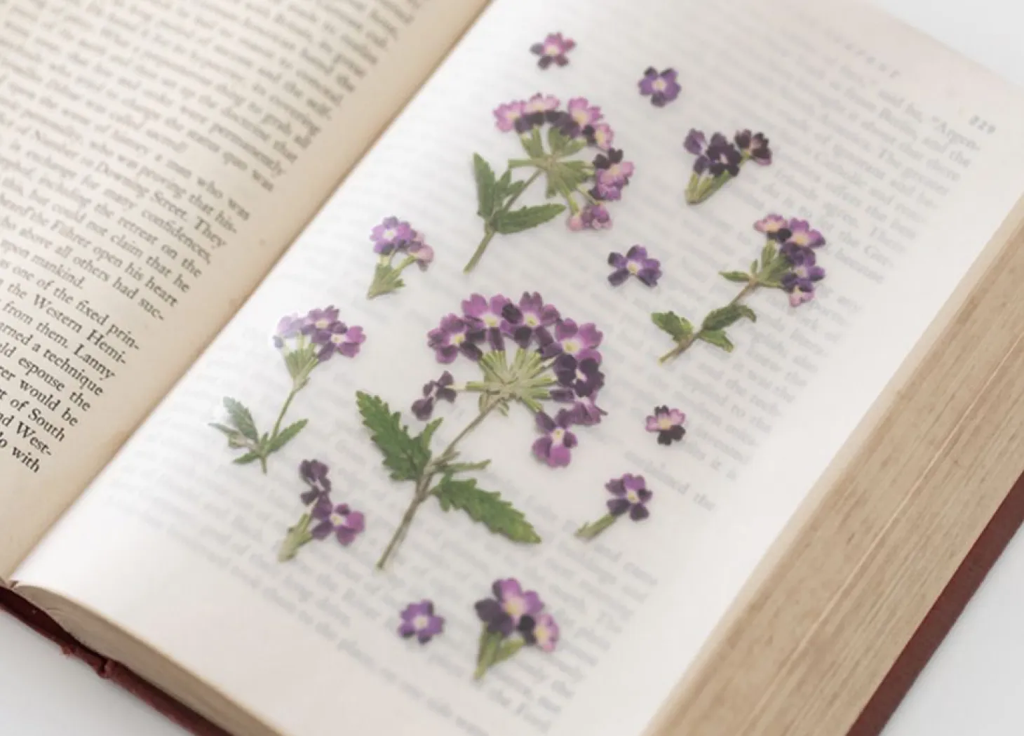 Verbena Pressed Flower Sticker