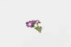 Verbena Pressed Flower Sticker