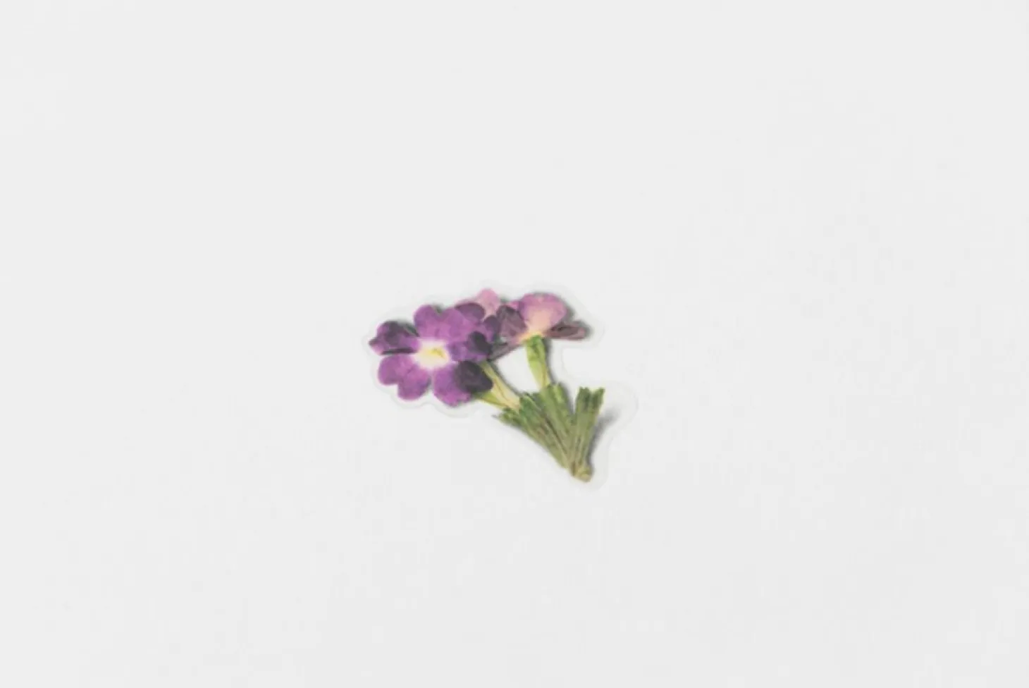 Verbena Pressed Flower Sticker