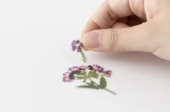 Verbena Pressed Flower Sticker