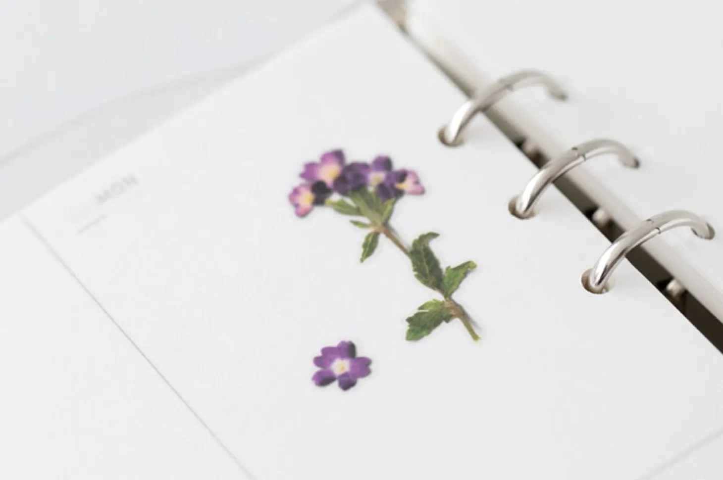 Verbena Pressed Flower Sticker